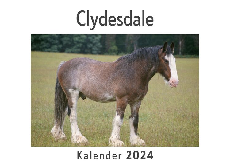 Produktbild: Clydesdale (Wandkalender 2024, Kalender DIN A4 quer, Monatskalender im Querformat mit Kalendarium, Das perfekte Geschenk)