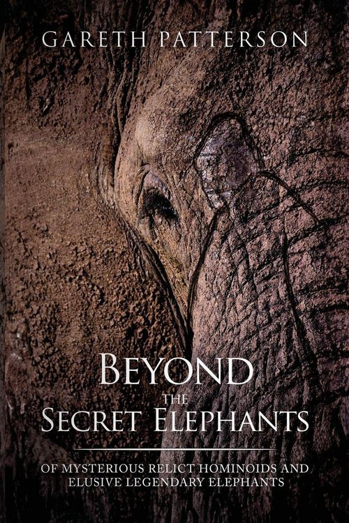 Produktbild: Beyond the Secret Elephants