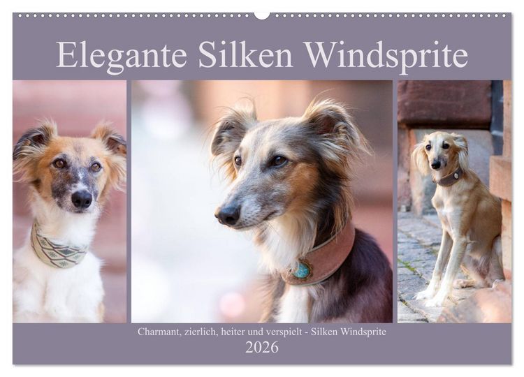 Produktbild: Elegante Silken Windsprite (Wandkalender 2026 DIN A2 quer), CALVENDO Monatskalender