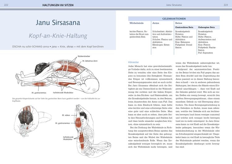 Produktbild: Yoga-Anatomie