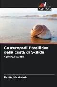 Produktbild: Gasteropodi Patellidae della costa di Skikda