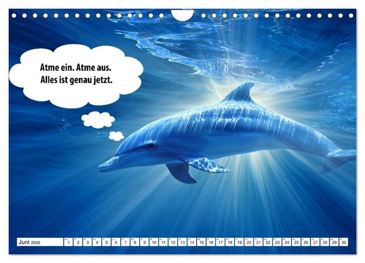 Produktbild: Stille Pfoten, weise Worte - Tiere zeigen dir den Weg zu mehr Gelassenheit (Wandkalender 2026 DIN A4 quer), CALVENDO Monatskalender