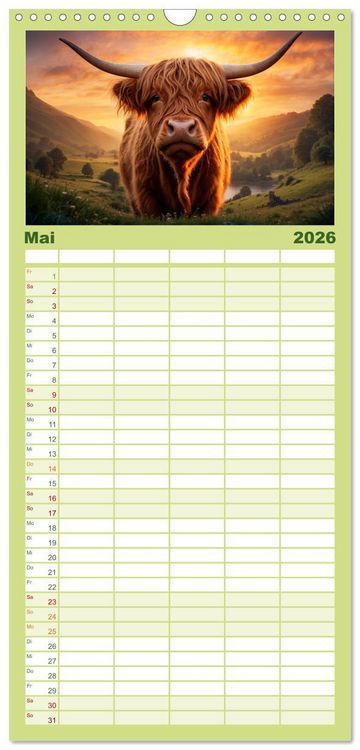 Produktbild: Familienplaner 2026 - Highland K&uuml;he mit 5 Spalten (Wandkalender, 21 x 45 cm) CALVENDO