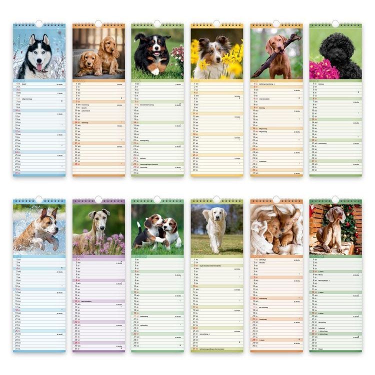 Produktbild: TR&Ouml;TSCH - Streifenkalender Hunde 2027 Notizkalender