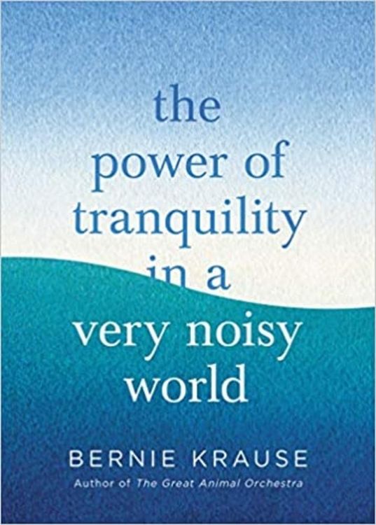 Produktbild: The Power of Tranquility in a Very Noisy World