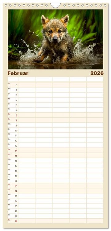 Produktbild: Familienplaner 2026 - Tierkinder beim Baden mit 5 Spalten (Wandkalender, 21 x 45 cm) CALVENDO