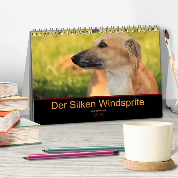 Produktbild: Der Silken Windsprite - ein Seelenhund (Tischkalender 2026 DIN A5 quer), CALVENDO Monatskalender