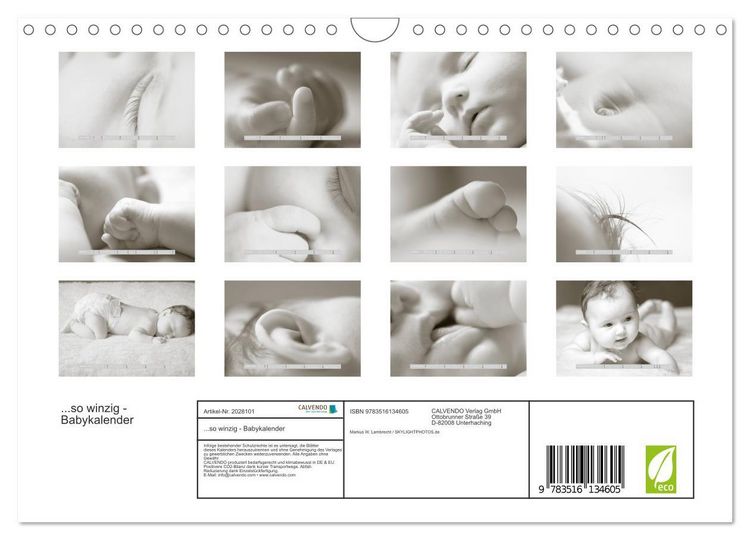 Produktbild: ...so winzig - Babykalender (Wandkalender 2026 DIN A4 quer), CALVENDO Monatskalender