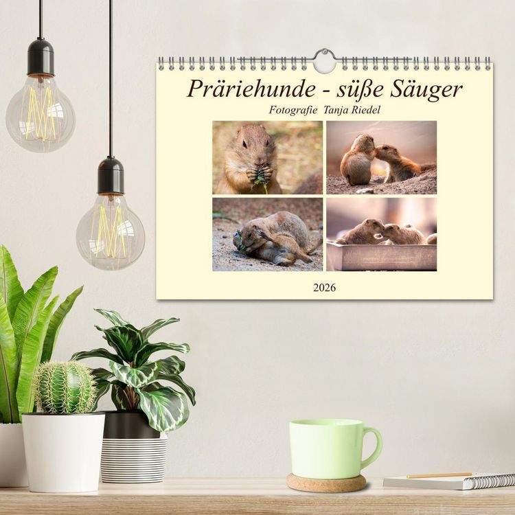 Produktbild: Pr&auml;riehunde - s&uuml;&szlig;e S&auml;uger (Wandkalender 2026 DIN A4 quer), CALVENDO Monatskalender