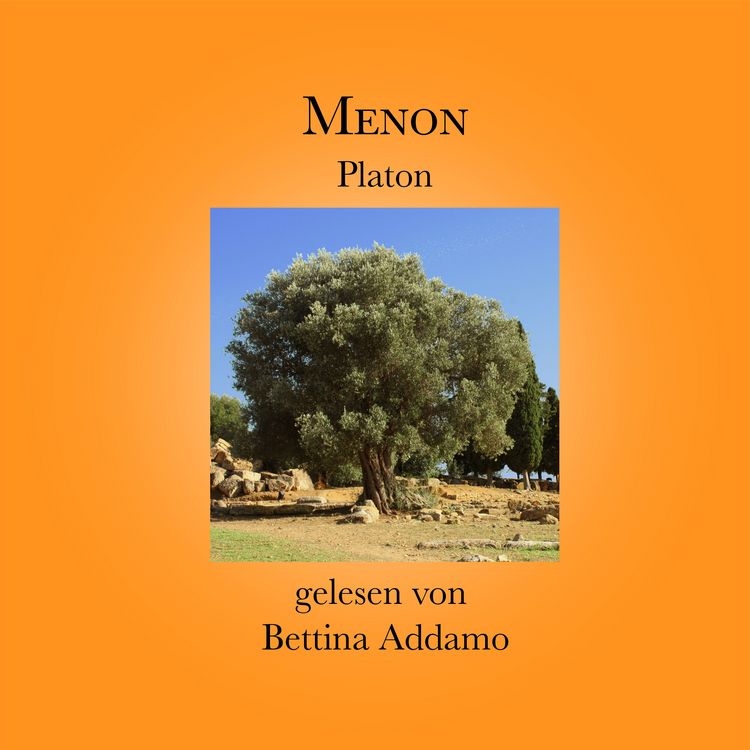 Produktbild: Menon Platon