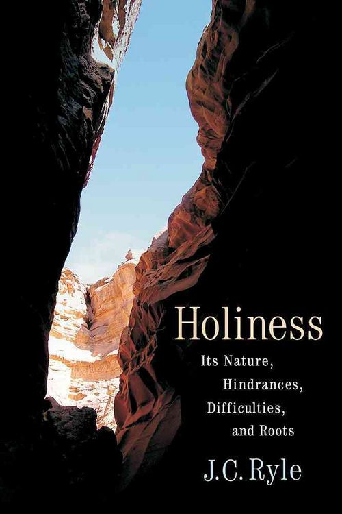Produktbild: Holiness