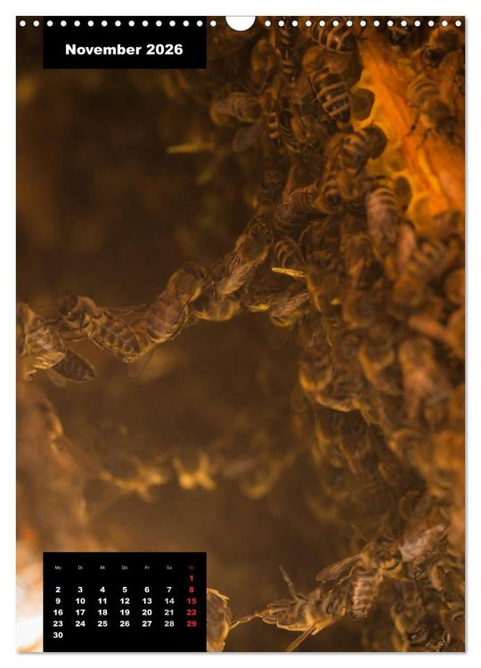 Produktbild: Bienen in ihrem geheimen Reich (Wandkalender 2026 DIN A3 hoch), CALVENDO Monatskalender