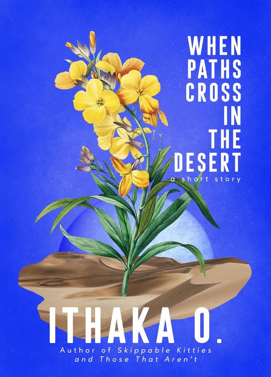 Produktbild: When Paths Cross In the Desert