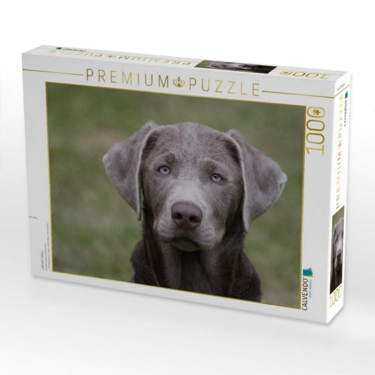 Produktbild: CALVENDO Puzzle Labrador-Welpe | 1000 Teile Lege-Gr&ouml;&szlig;e 64x48cm Foto-Puzzle f&uuml;r gl&uuml;ckliche Stunden