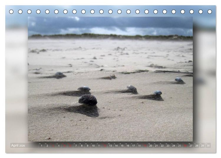 Produktbild: Baltrum - Ein Tag am Strand (Tischkalender 2026 DIN A5 quer), CALVENDO Monatskalender