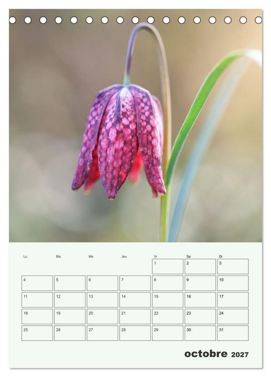 Produktbild: Les fleurs, &eacute;ternelles &eacute;phem&egrave;res (Calendrier de bureau 2027 DIN A5 horizontal), CALVENDO calendrier mensuel