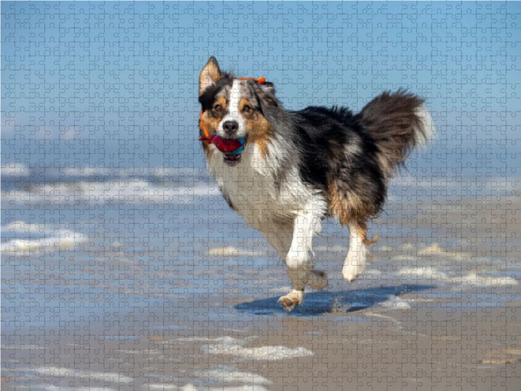 Produktbild: CALVENDO Puzzle Strand ist toll! 1000 Teile Lege-Gr&ouml;&szlig;e 64 x 48 cm Foto-Puzzle Bild von Annett Mirsberger www.annettmirsberger.de