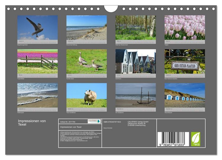 Produktbild: Impressionen von Texel (Wandkalender 2026 DIN A4 quer), CALVENDO Monatskalender