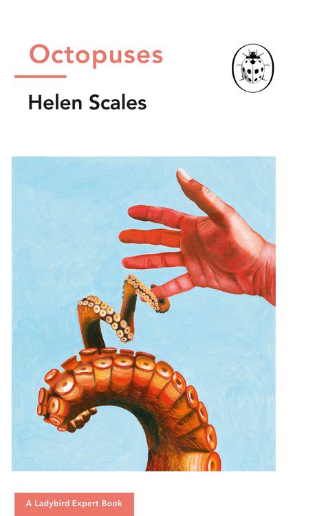 Produktbild: Octopuses
