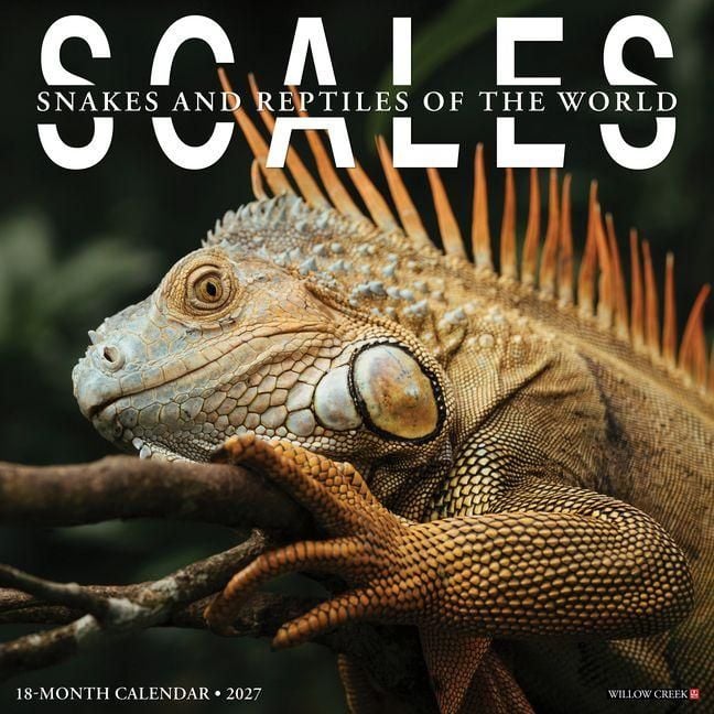 Produktbild: Scales 12 X 12 Wall Calendar