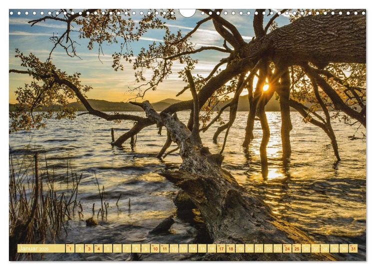 Produktbild: Herzlich Mayen und Umland (Wandkalender 2026 DIN A3 quer), CALVENDO Monatskalender