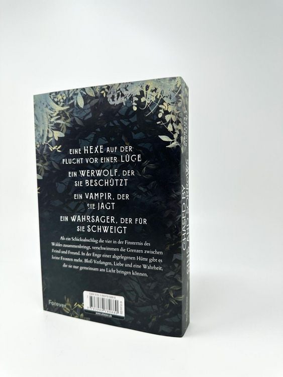 Produktbild: Chased by Sins and Sorrows