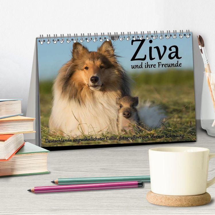 Produktbild: Ziva und ihre Freunde (Tischkalender 2026 DIN A5 quer), CALVENDO Monatskalender