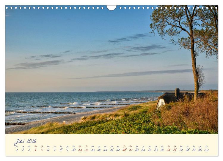 Produktbild: OSTSEEGL&Uuml;CK - Gl&uuml;cksmomente auf dem Dar&szlig; (Wandkalender 2026 DIN A3 quer), CALVENDO Monatskalender
