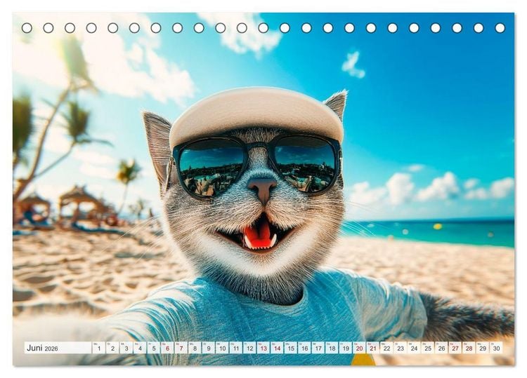 Produktbild: KATZEN-SELFIES Tierische Reiselust (Tischkalender 2026 DIN A5 quer), CALVENDO Monatskalender