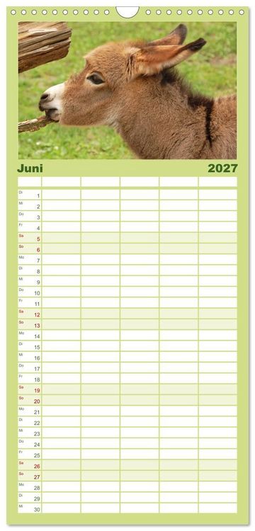 Produktbild: Familienplaner 2027 - Kleine Schelme - Tierbabys mit 5 Spalten (Wandkalender, 21 x 45 cm) CALVENDO