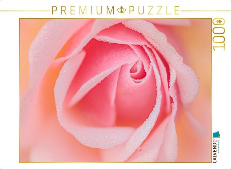 Produktbild: CALVENDO Puzzle Rose im Morgentau | 1000 Teile Lege-Gr&ouml;&szlig;e 64x48cm Foto-Puzzle f&uuml;r gl&uuml;ckliche Stunden