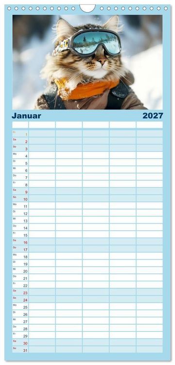Produktbild: Familienplaner 2027 - Lustige Sportarten f&uuml;r Katzen mit 5 Spalten (Wandkalender, 21 x 45 cm) CALVENDO