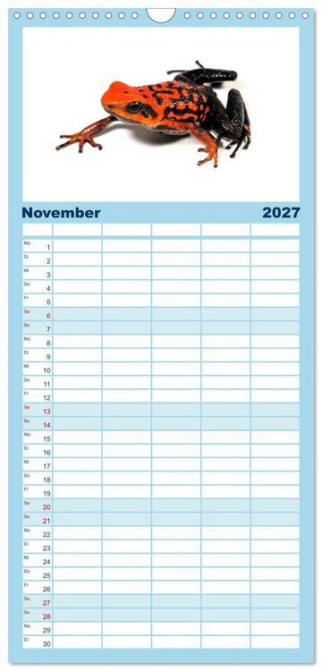 Produktbild: Familienplaner 2027 - Farbenpracht der Fr&ouml;sche mit 5 Spalten (Wandkalender, 21 x 45 cm) CALVENDO