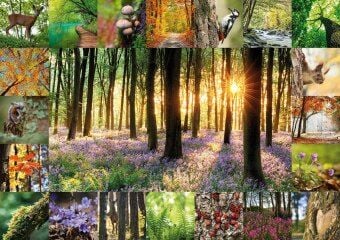 Produktbild: Waldbaden Puzzle