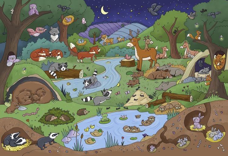 Produktbild: Mein Gute Nacht-Wimmelbuch