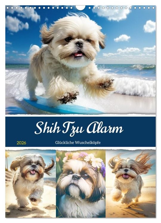 Produktbild: Shih Tzu Alarm. Gl&uuml;ckliche Wuschelk&ouml;pfe (Wandkalender 2026 DIN A3 hoch), CALVENDO Monatskalender