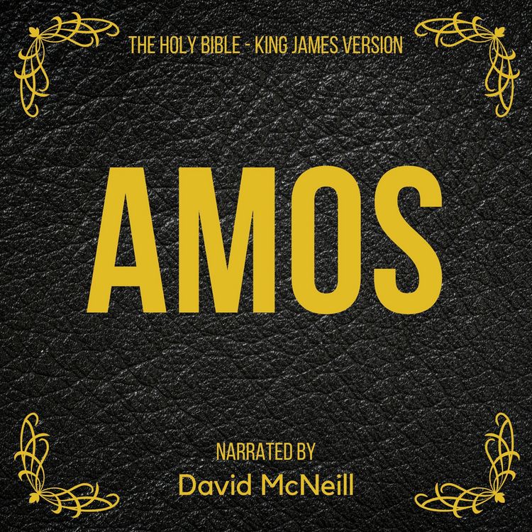 Produktbild: The Holy Bible - Amos