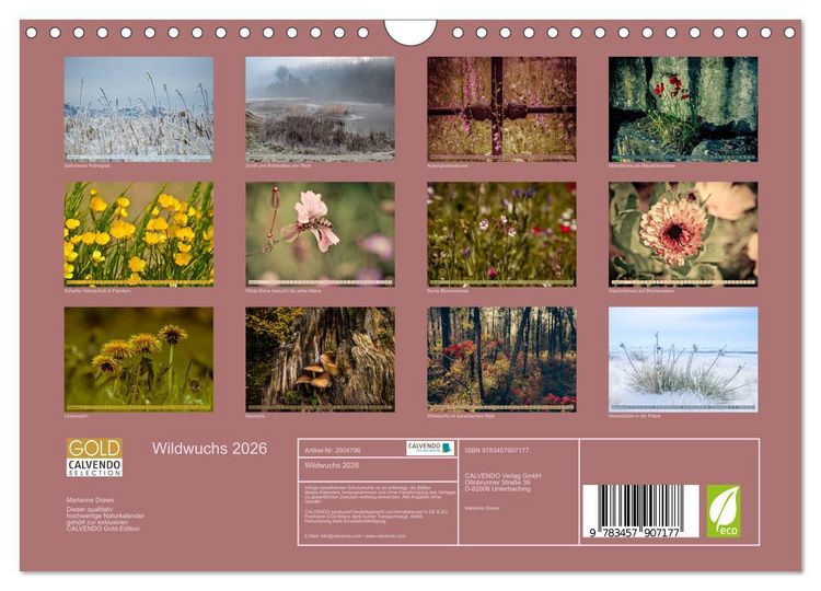 Produktbild: Wildwuchs 2026 (Wandkalender 2026 DIN A4 quer), CALVENDO Monatskalender