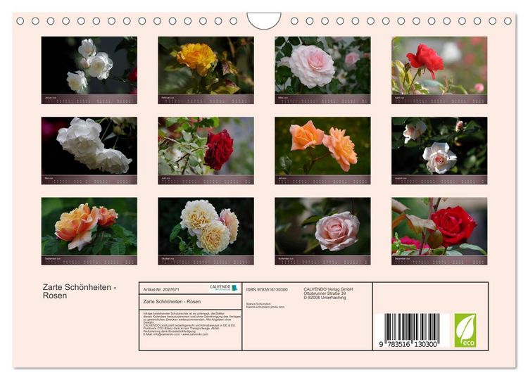 Produktbild: Zarte Sch&ouml;nheiten - Rosen (Wandkalender 2026 DIN A4 quer), CALVENDO Monatskalender