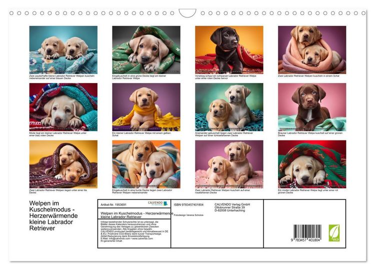 Produktbild: Welpen im Kuschelmodus - Herzerw&auml;rmende kleine Labrador Retriever (Wandkalender 2026 DIN A3 quer), CALVENDO Monatskalender