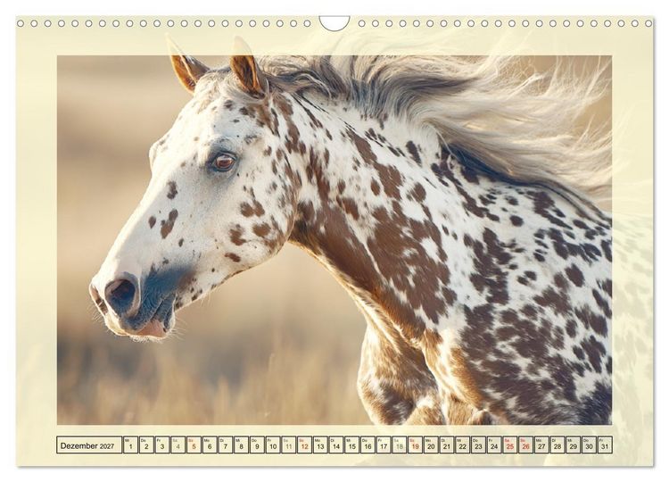 Produktbild: Knabstrupper Poesie. Gescheckte Eleganz im Farmsommer (Wandkalender 2027 DIN A3 quer), CALVENDO Monatskalender