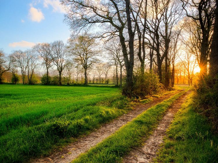 Produktbild: CALVENDO Puzzle Sonnenaufgang in Ockenhausen | 1000 Teile Lege-Gr&ouml;&szlig;e 64x48cm Foto-Puzzle f&uuml;r gl&uuml;ckliche Stunden