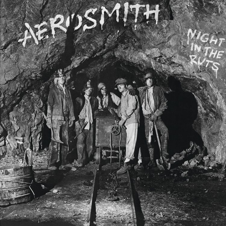 Produktbild: Night In The Ruts (Vinyl)
