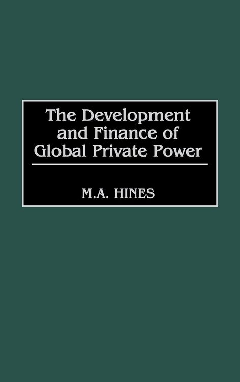 Produktbild: The Development and Finance of Global Private Power
