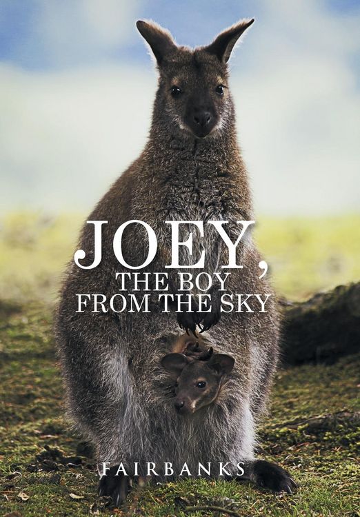 Produktbild: Fairbanks: Joey, the Boy from the Sky
