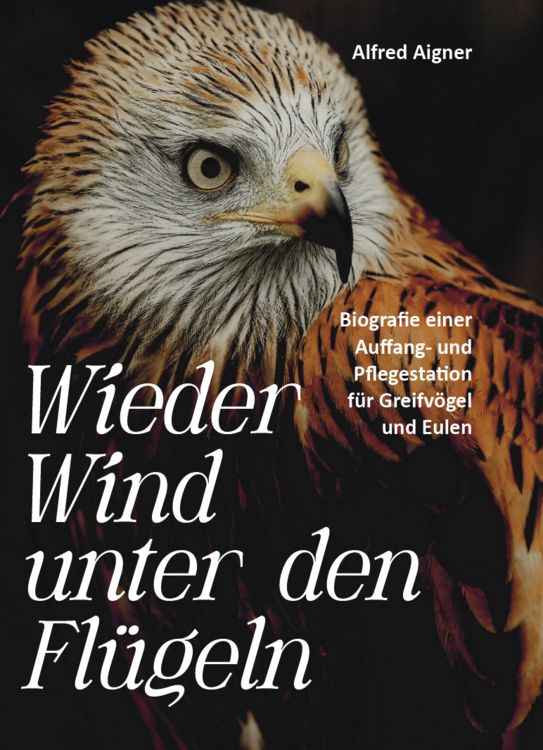 Produktbild: Wieder Wind unter den Fl&uuml;geln