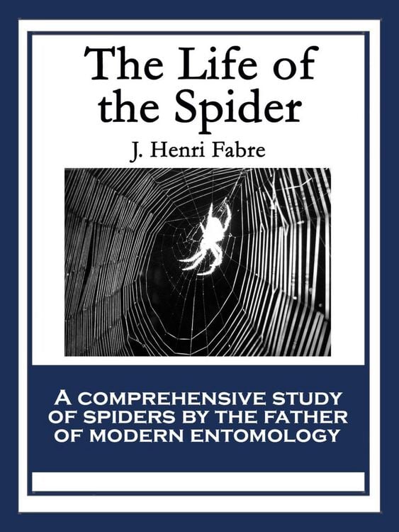 Produktbild: The Life of the Spider