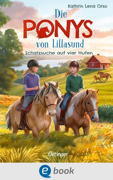 Produktbild: Die Ponys von Lillasund 2. Schatzsuche auf vier Hufen