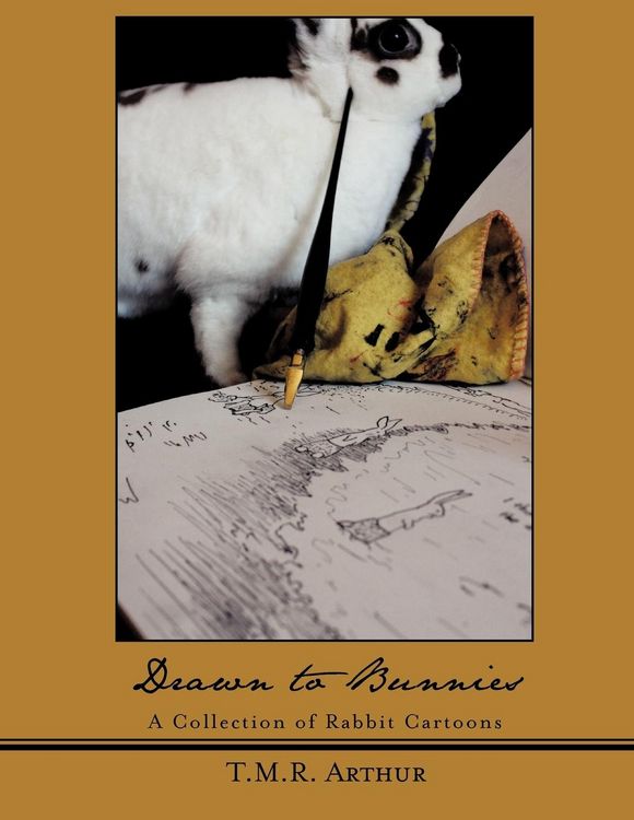 Produktbild: Drawn to Bunnies