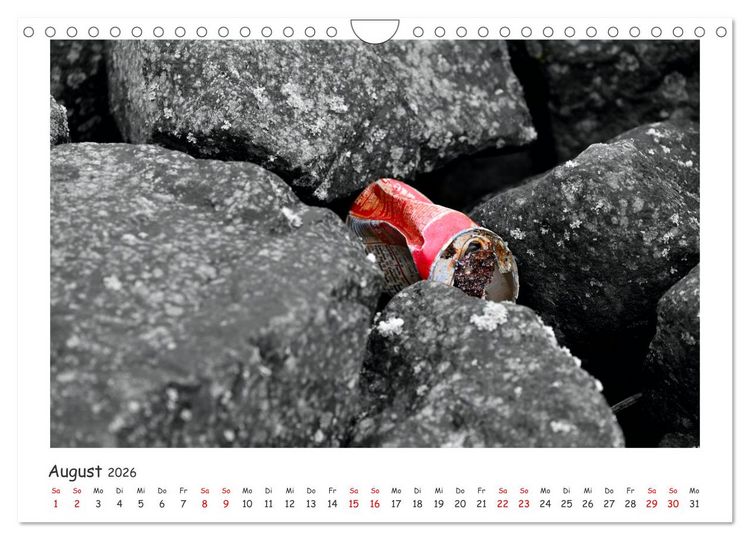 Produktbild: Gestrandet -Treibgut- (Wandkalender 2026 DIN A4 quer), CALVENDO Monatskalender